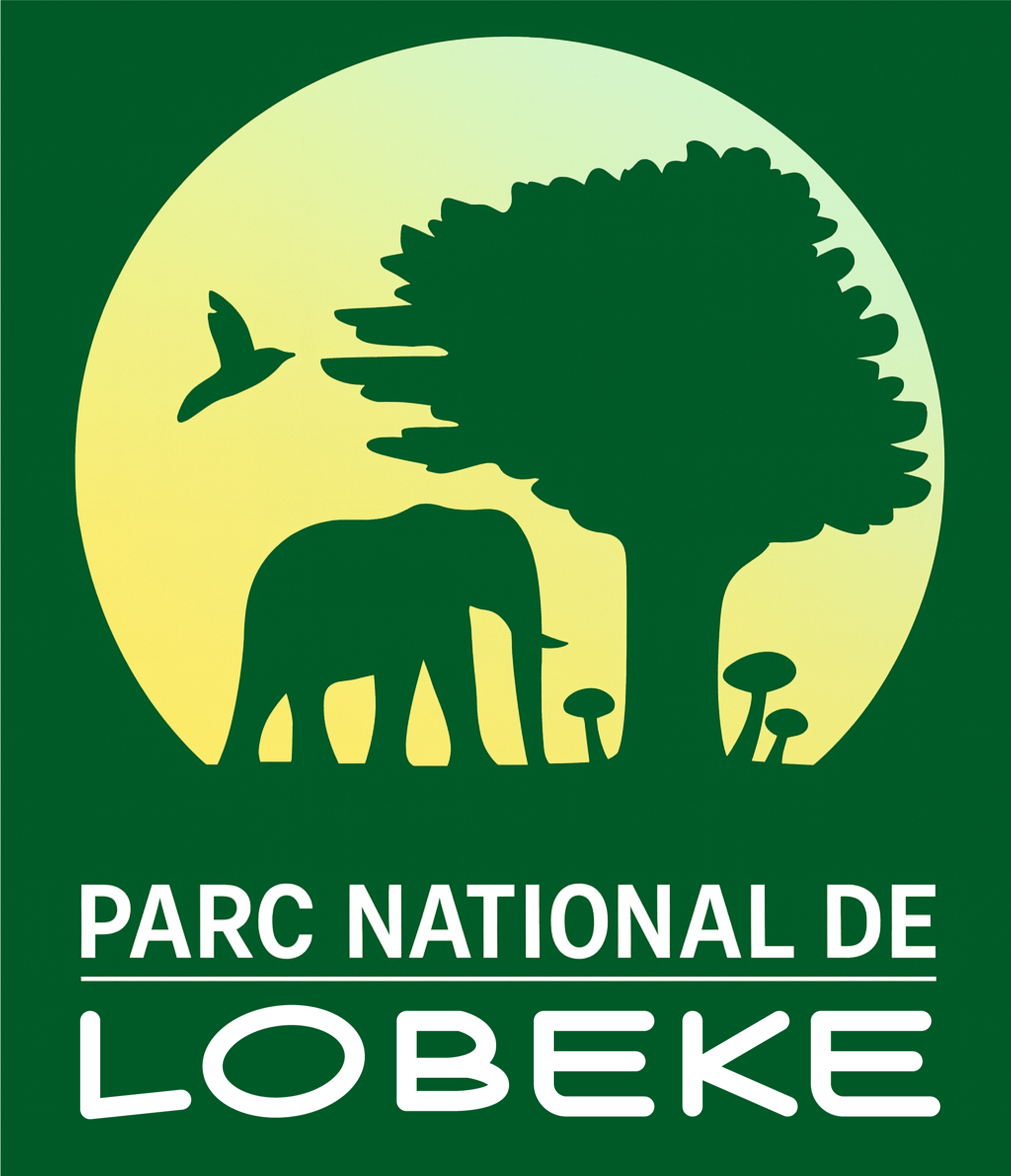 PARC NATIONAL DE LOBEKE